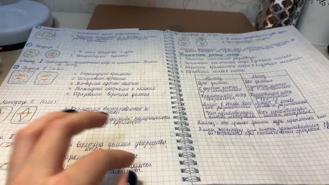 Как я готовлюсь к ЕГЭ по биологии и химии ?? лучшие учебные пособия// how i take notes смотреть онлайн