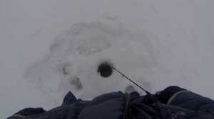 Экстремальная рыбалка за Тарой, старица Иртыша, Омская область,  настоящий мужской отдых