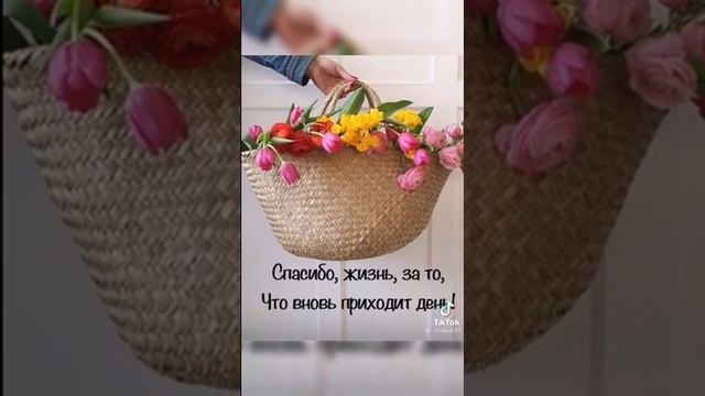 за что мы ценим жизнь' смотреть онлайн