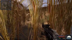 S.T.A.L.K.E.R. Чистое Небо - КАК НАЙТИ ДЕТЕКТОР "ВЕЛЕС" НА БОЛОТАХ. Видеогайд.