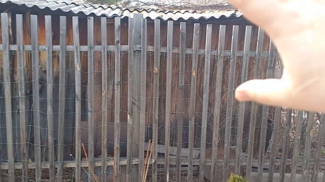 Апрель. Как выжили растюхи. 1 часть. смотреть онлайн