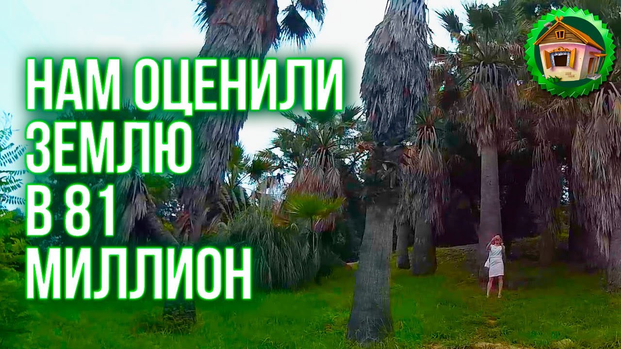 Нам оценили землю в 81 миллион! Налоговая Сошла с Ума?! Надо ли Платить Налог?. 48 серия смотреть онлайн
