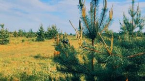 GRANNY в реальной жизни! Мама ЗАПРЕТИЛА ходить в лес, но мы не послушали! 13+