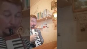 Мелодия /Chardash/ на мелодике.