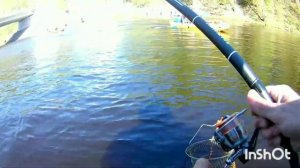 Рыбалка в СПб. Весенняя плотва на поплавок. Удачная рыбалка. Плотва...