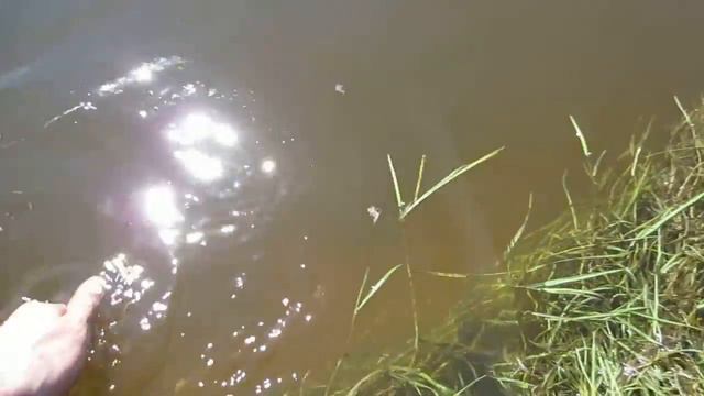 Маленькое секретное озеро в Беларуси. смотреть онлайн