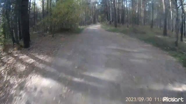 ПОКАТУШКА ПО ЛЕСУ НА ПИТБАЙКЕ. ПРОБИЛ КОЛЕСО НА ЭНДУРО смотреть онлайн