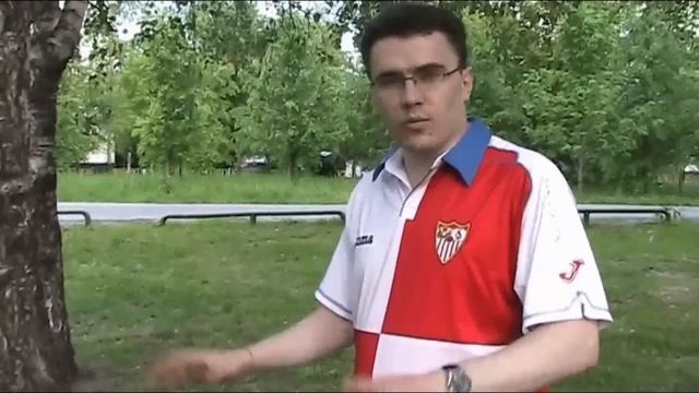 Обзор Stern Dynamic 1.0 (2011)