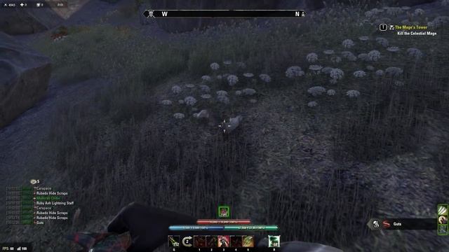 The Elder Scrolls Online: Гайд по рыбалке! смотреть онлайн