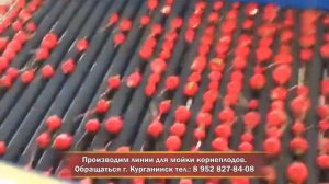 Мойка для редиса