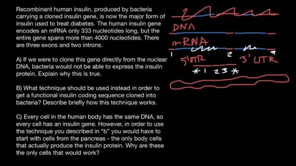 cDNA, Genetic Engeneering