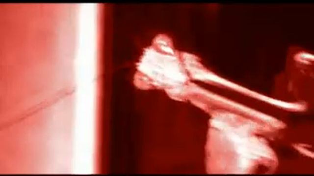 Vibrations The Harp of Hamelin - Dan Moi / Jaw Harp смотреть онлайн