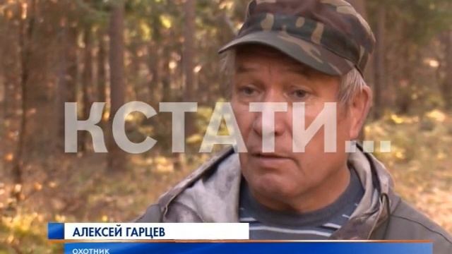 Европейский гуманизм в нижегородской охоте смотреть онлайн