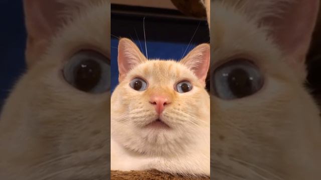 Когда понял что скоро понедельник