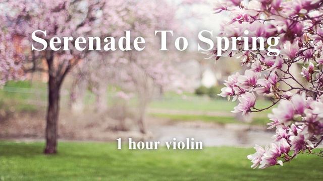 Secret Garden- Serenade to Spring - ( 1 hour for relaxation, stress relief, study, sleep ) смотреть онлайн
