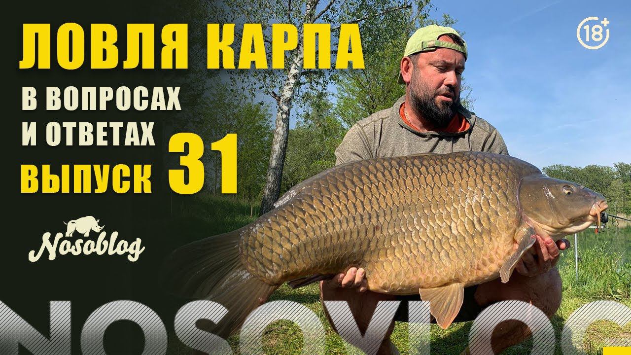 Карпфишинг в вопросах и ответах, выпуск #31, Колесников А. смотреть онлайн