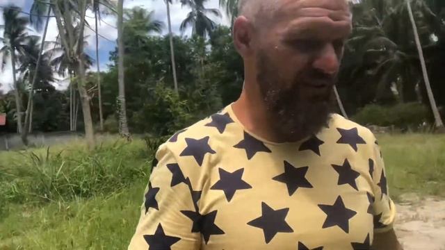 Ананас. Как и где растёт ананас .