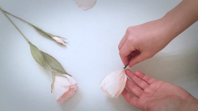Beautiful Lisianthus flower with crepe paper смотреть онлайн