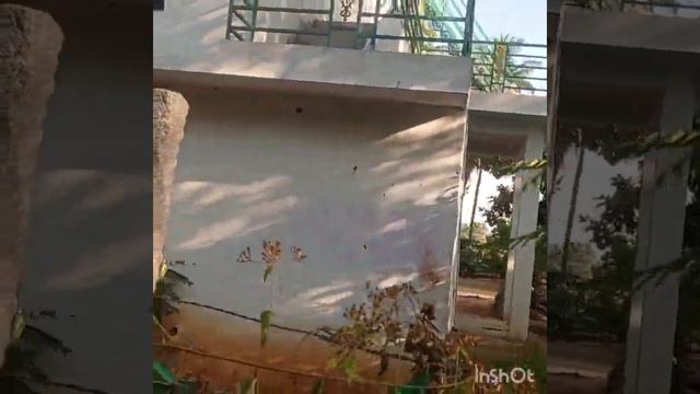 n. p. Properties 5 acre red soil 50 lakhs per acre 2 bore well 6360446978 channel water house смотреть онлайн