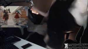 Ты засадишь ей в очко, а она тебя в сизо