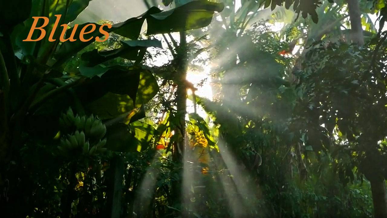 Энергетический блюз 021. & Synergetic blues. смотреть онлайн