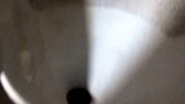 Курятник за 2 дня