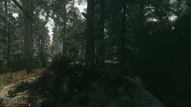 STALKER ANOMALY REBORN - RED FOREST - ARRIVAL ANOMALIES MOD смотреть онлайн