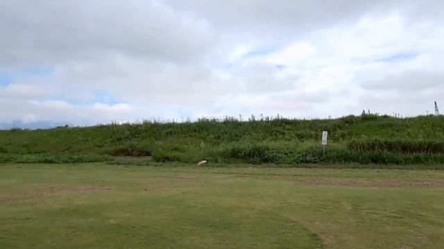 WLtoys XK K110S Brushless Mini Heli Drone – Just Released ! смотреть онлайн