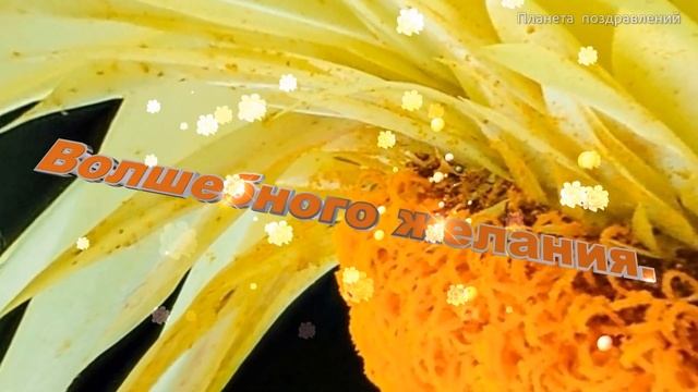 С днём рождения, Ксения! Поздравление с днем рождения по именам смотреть онлайн