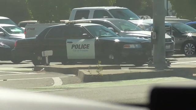SUPER RARE FPD Crown Victoria Patrolling