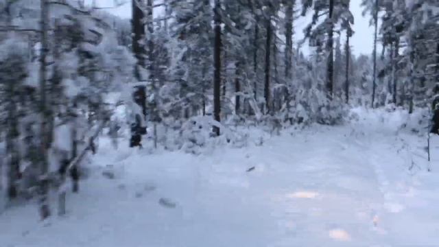 Part1 Snowmobiling into Lappland forest collecting a Christmas Tree and breaking some logging trail смотреть онлайн