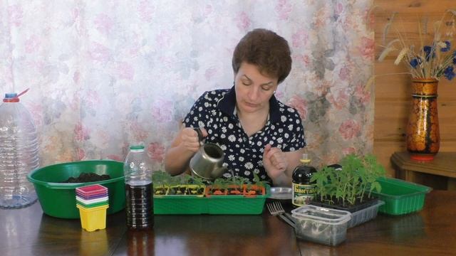 Биогумус для рассады смотреть онлайн