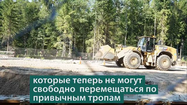 20 юбилейная велоакция прошла с 20 по 25 июля 2019 г. День 4 смотреть онлайн