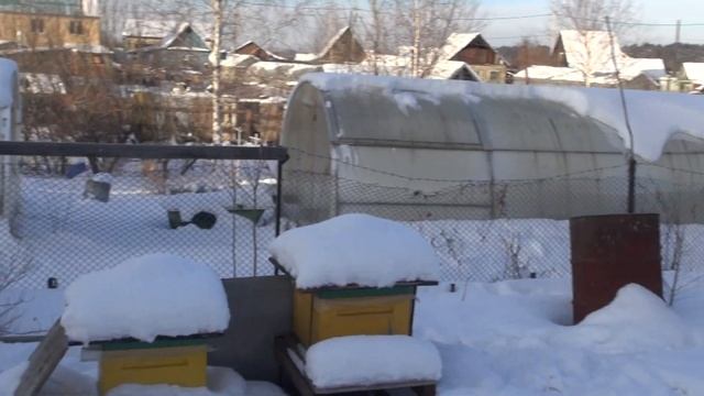 Голуби и Ястреб. смотреть онлайн