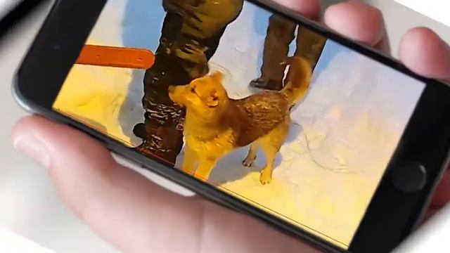 Что такое система видеонаблюдения? смотреть онлайн