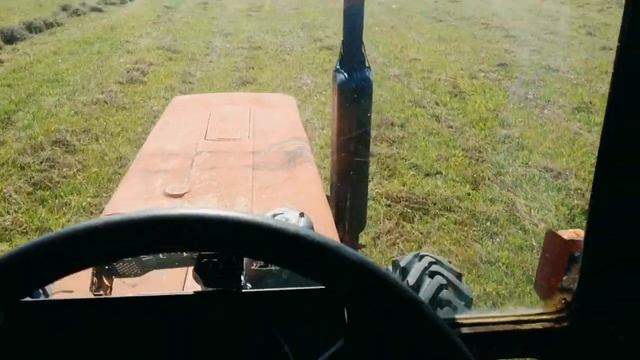 Сенокос 2021: техника, девушка на тракторе, заготовка сена на мтз, кто будет есть сено? смотреть онлайн