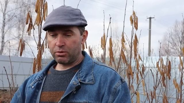 ЧЕМ ОПРЫСКИВАТЬ САД, ЕСЛИ ПОЗДНО ПРИЕХАЛИ НА ДАЧУ. смотреть онлайн