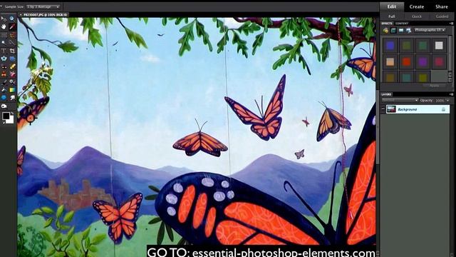 Photoshop Elements Eyedropper Tool смотреть онлайн
