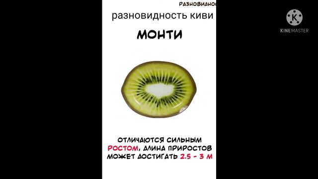 Монти из фнаф 9 Киви? ( да не, прост шутка) смотреть онлайн