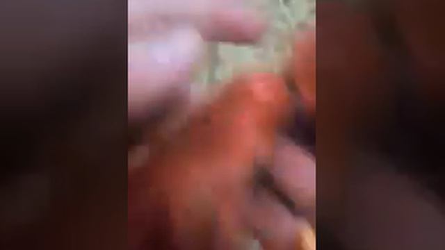 Обзор на Торалей(большой кошмарный риф) смотреть онлайн