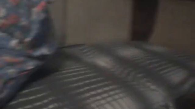 Котёнок на рождество смотреть онлайн