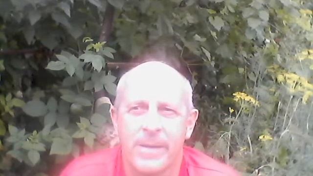 Номер дома и квартиры 2. Кто живет? значение/ нумерология