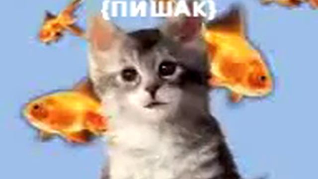 Золотое слово! смотреть онлайн