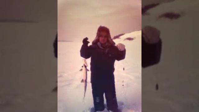 2006 рыба моей мечты смотреть онлайн