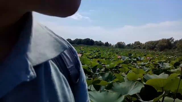 Астраханский Биосферный заповедник смотреть онлайн