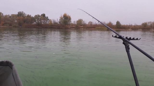 Рыбалка на фидер осенью. Ловим рыбца на креветку! #10 смотреть онлайн