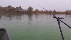 Рыбалка на фидер осенью. Ловим рыбца на креветку! #10