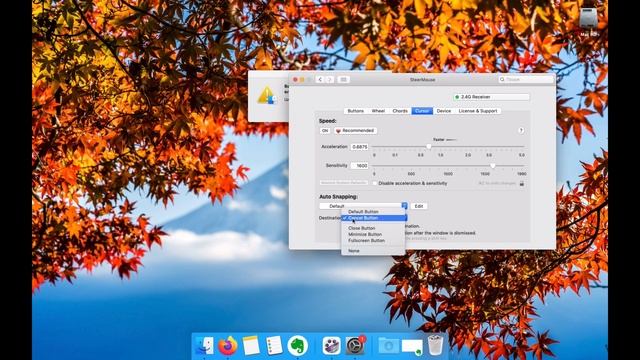 Automate cursor movement with SteerMouse in MacOS смотреть онлайн