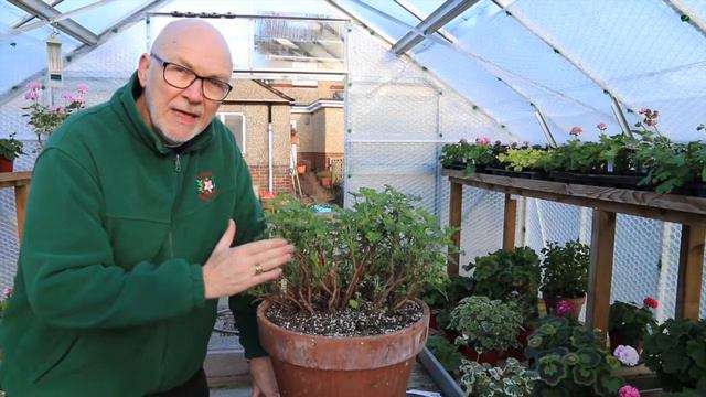 Video Blog 4. Mid January 2015 смотреть онлайн