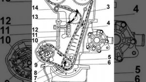 Форт транзит 2.0 DOHC установка зажигания метки